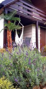 Domek KRAJNO ŚWIETA KATARZYNA