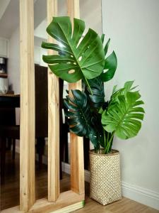 Large Double Suite | Sleeps 8 | 2 Kitchens | 2 CR