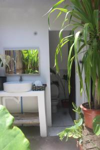 Bay de Emmanuel Rooms