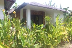 Bay de Emmanuel Rooms