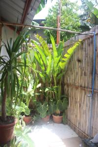 Bay de Emmanuel Rooms