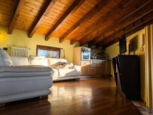 Openspace Attic Apartment with terrace, Wi-Fi