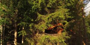 Lodges Cabane entre terre et ciel : photos des chambres