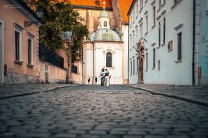 Luxury Downtown Apartment Bratislava