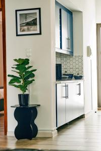 Eli Eli Luxury Suites