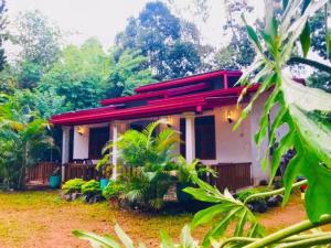 Sunrise Safari House & villa