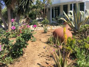 Nikiforos apartment Νaxos