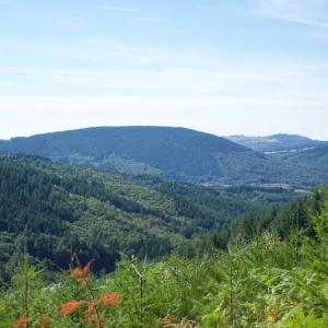 Hotels Ecoparc Des Monedieres : photos des chambres