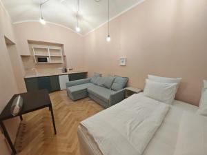 Spacious, Light Studio Apartment in Vinohrady