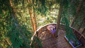 Lodges Cabane entre terre et ciel : photos des chambres