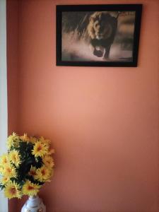 Red king home stay