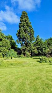Luxury Shepherds Hut on Powis House Estate