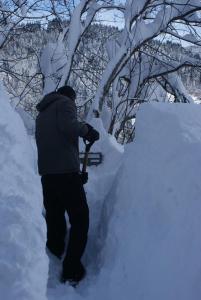 Lodges Cabane entre terre et ciel : photos des chambres