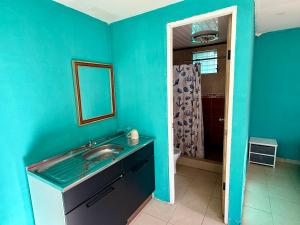 La casa Amelia Nueva Gorgona