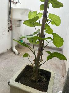 HTA Hospedaje Turismo Aventura