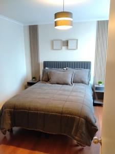 Depto Completo centro Viña del Mar