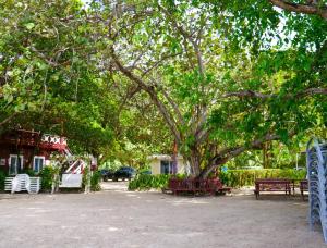 Bonsai Rentals - West Bay Private Rooms