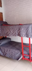 Departamento Alberdi