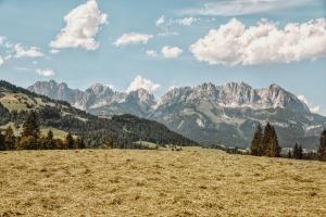 Apartment Wachinghof