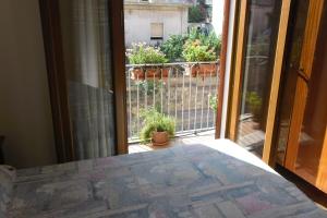 Canne Al Vento img78