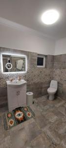 Casa de vacanta Niculitel