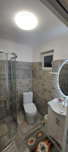 Casa de vacanta Niculitel