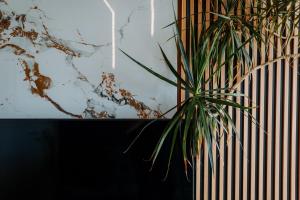 Family apartment in Concón near dunes and beach