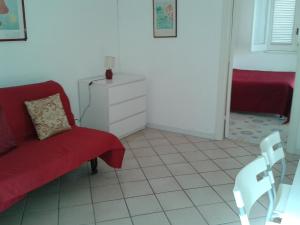 Pitosforo - Ulivo - Cocco