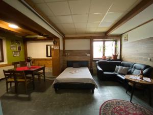 Studio JAVOR pod Tatrami