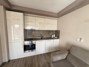 PARENSOV- Luxury Apartment- RED SQUARE