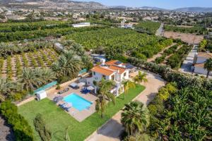 Villa Banana Grove by Villa Plus