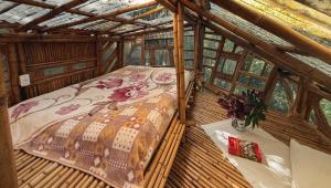 Casa Bambu Floresta Amada