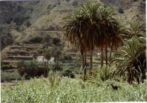 Studio with car rental room in Finca Piñero