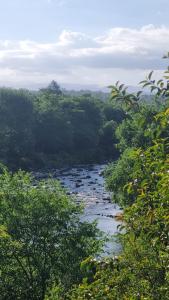 Cabañas Santa Isabel