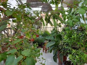 Alleyhomestay- Trần Đại Nghĩa