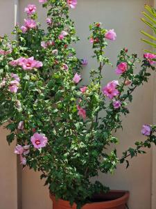 "Piers House" - Attico a 3 chilometri dal Centro Città