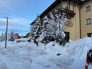 Top Residence Bilocale Abete