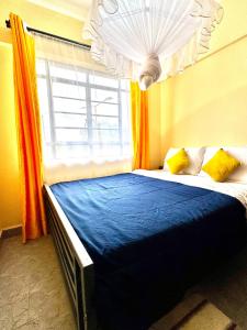 Hawls Apartment