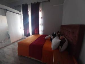 dreamweaver guesthouse