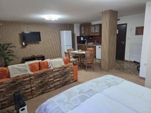 TMF Mountain Lodge Cozy Studio apartment