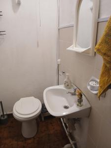 Cálido y Sencillo Monoambiente a 100 m Estación SF