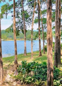 Biệt thự bên hồ R341 - Lakeview Flamingo Đại Lải