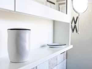 Domus Albano Laziale