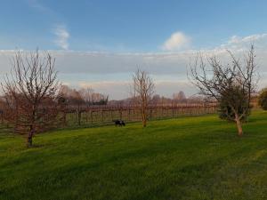 Agriturismo Il Ceraseto da Tomasi