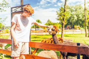 Apartament w Baltic Natur Park - Parter piękny widok na park- Raj dla Rodzin