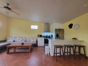 Pura Vida - Villa Lisa