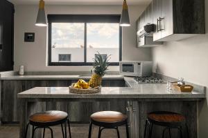 Coyotes Housing Services - Torres Departamentales