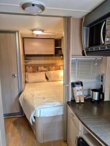 RV Palm Oasis