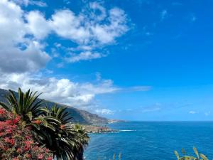 Exclusive Ocean Views