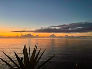 Exclusive Ocean Views